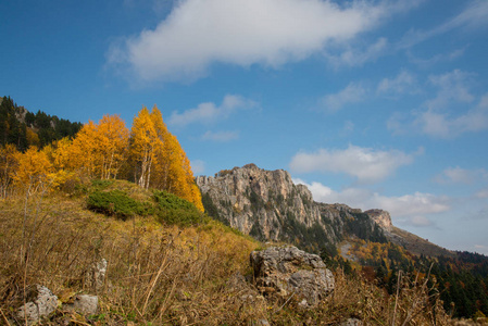Adygea 山中的金色秋天