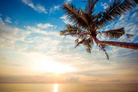 美丽的热带海滩，棕榈树在日出的海景。在夏天背景视图海滩