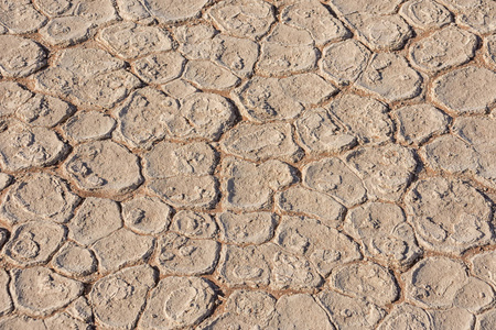干旱导致南部非洲稀树草原的沙漠景观