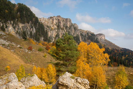 Adygea 山中的金色秋天