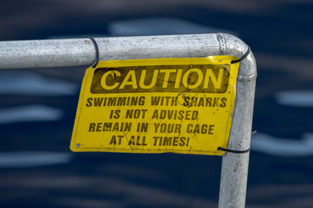 警告 swiimming 与鲨鱼黄色标志