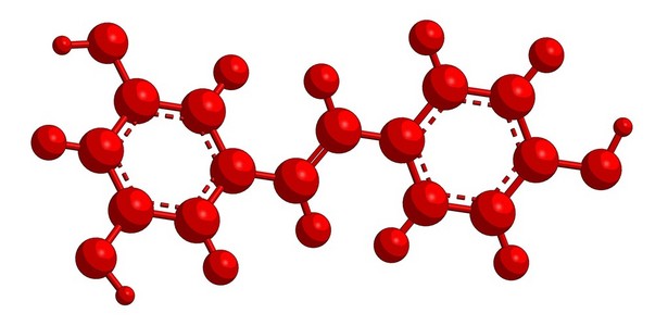 藜芦白藜芦醇的分子结构照片