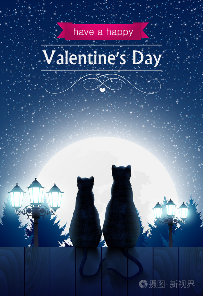 坐看着傻瓜月亮的篱笆上的两只猫