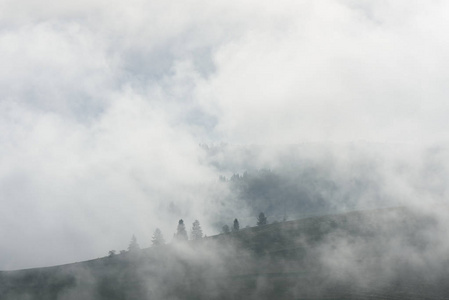 雾在山林的秋景