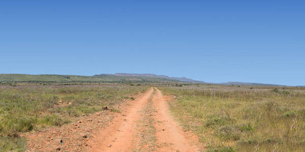 南非稀树草原东部沙漠的地面公路
