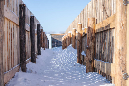 冬天地上的木栅栏和雪图片