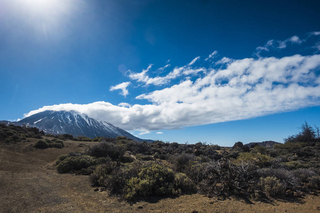 在特内里费岛 teide 火神的美丽景观。蓝天上的大云横在山顶上