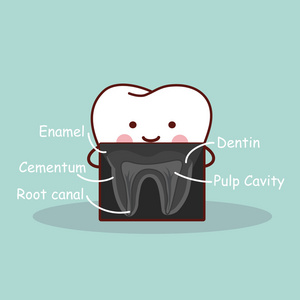 用 X 射线的卡通牙齿