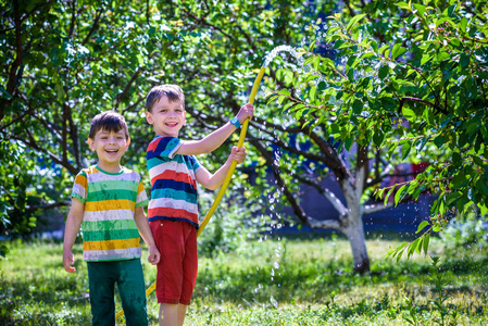 房子树植物图片