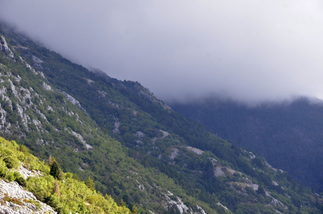 雾和云山山谷风景