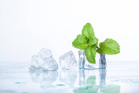 薄荷冰块图片