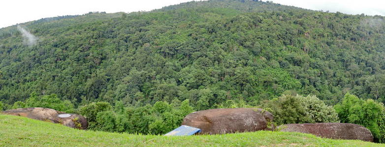 夏季绿色山地景观全景