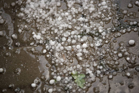 夏季暴雨后大冰雹冰球