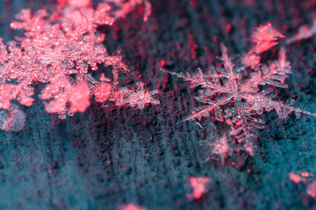 雪花飘在尘土飞扬的空间图片