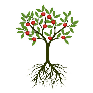 绿树, 生根红苹果果。矢量插图。园林植物