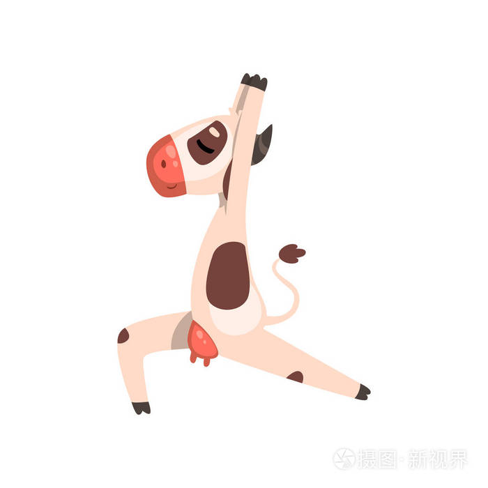 奶牛练习瑜伽, 滑稽的农场动物卡通人物做运动矢量插图白色背景