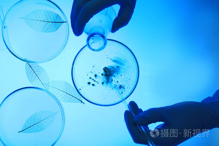 科学家使用培养皿