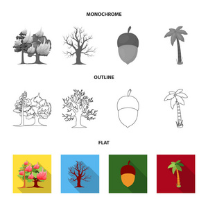 烧树, 棕榈, 橡子, 干树。森林集合图标在平面, 轮廓, 单色样式矢量符号股票插画网站
