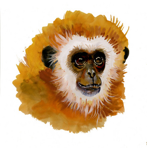 猴子水墨画中国水墨画鸟和植物中国水墨画兔年高雾的山脉, 红色的太阳