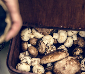 木篮中各种新鲜蘑菇特写