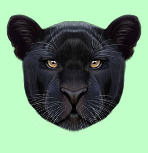 黑豹的插图的肖像