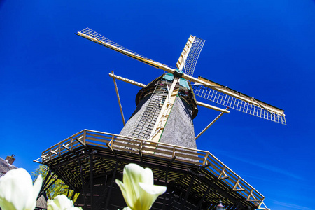 在荷兰风景水车照片