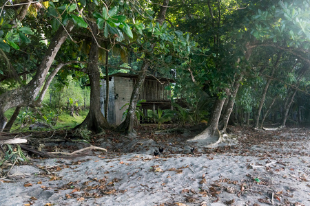 小屋和树木在海岸