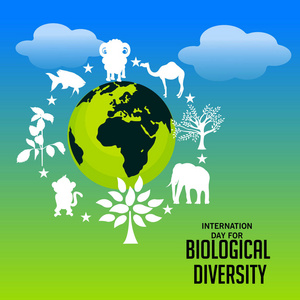生物多样性背景的向量例证