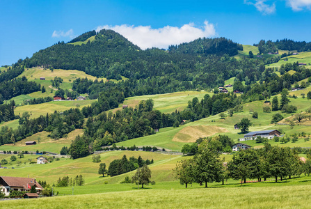 Schwyz 瑞士小行政区的夏日美景。这幅画是在 Schwyz 镇地区的琼结束时拍摄的。
