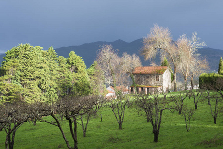加利西亚西班牙暴风雨天空的乡村景观
