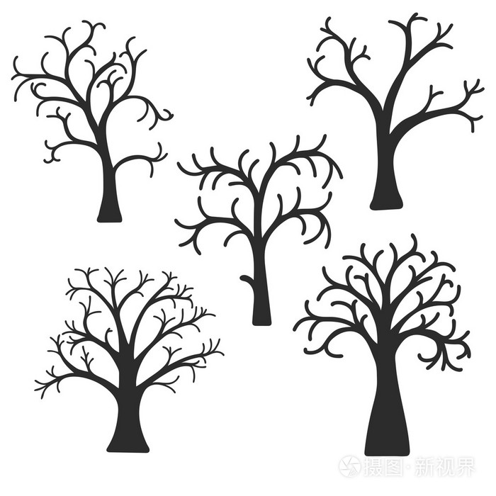 树木的轮廓