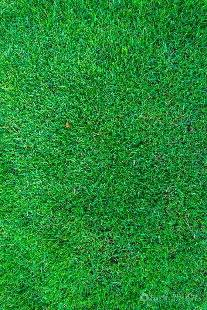 绿色草甸草背景