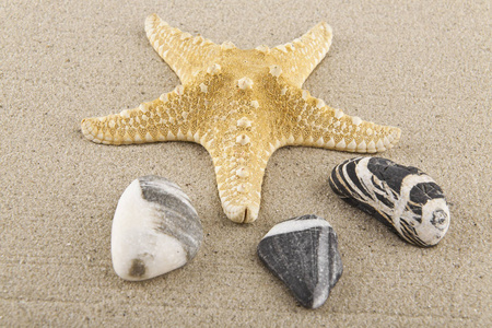 贝壳, 石头和海星的沙子作为 backgrou 的放松