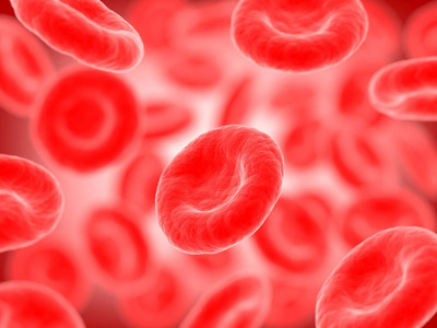 红血细胞 3d 图