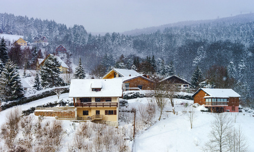 小山与雪的冬季树木美丽边坡