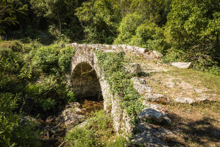 Olmi清唱附近 Balagne 地区国家公园绿地内的古热那亚石拱桥跨越小溪