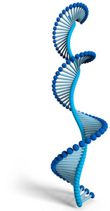 脱氧核糖核酸是一种线程状的核苷酸链, 它携带着遗传指令, 用于所有已知生物和许多病毒的生长发育功能和繁殖。Dna 螺旋