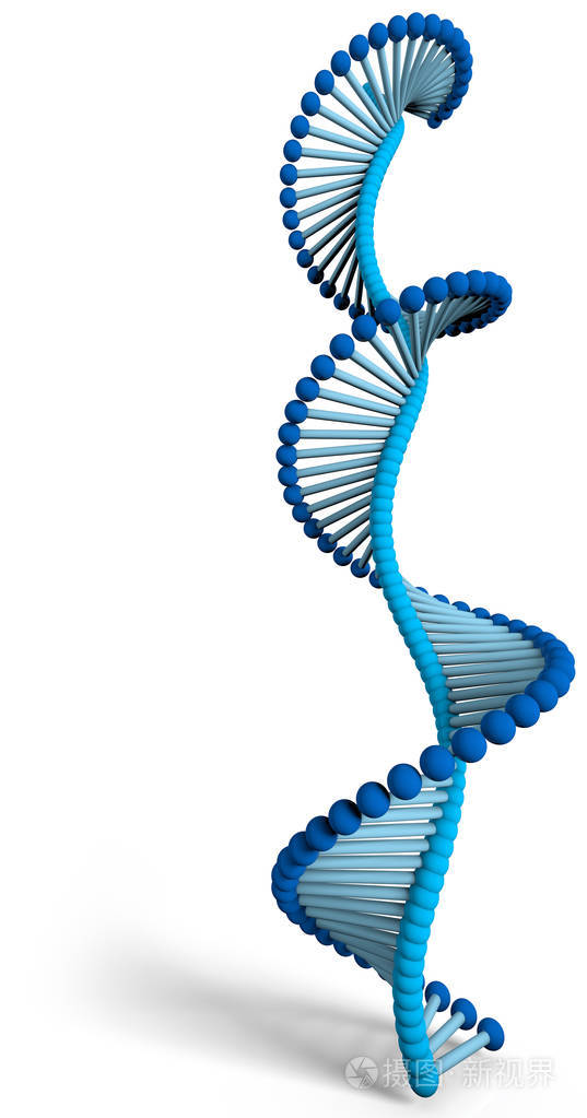 脱氧核糖核酸是一种线程状的核苷酸链它携带着遗传指令用于所有已知