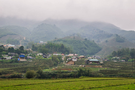 越南稻田美景