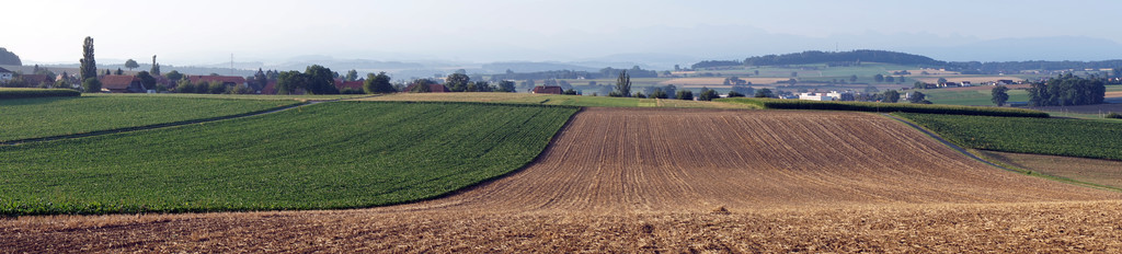 田间地头的全景图片
