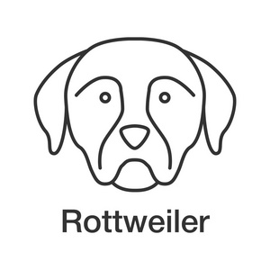 罗威线性图标。细线插图。守护犬品种。轮廓符号。矢量隔离轮廓图