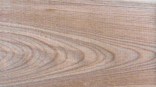 天然针叶林桦木纹纹理图案背景照片