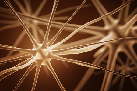 在显微镜下看到的病毒, 遗传密码, 细菌和微生物