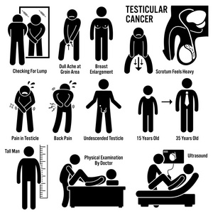 睾丸睾丸睾丸癌症状导致风险因素诊断棒图象形图图标