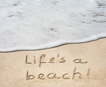 生活是一个在沙的海滩文本