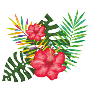 热带花卉装饰卡