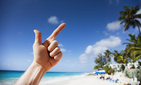 在巴巴多斯岛上的夏天。异国情调的假期。棕榈树。绿松石水。晴朗的蓝天。美丽的白色沙滩