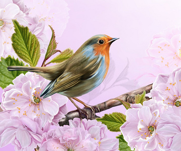 在樱花盛开的明亮的背景上的小鸟