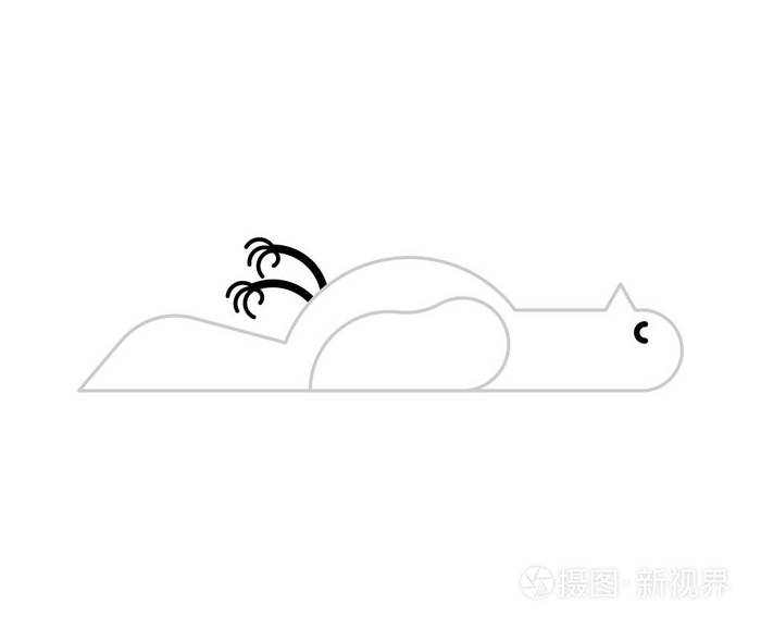 死掉的白鸽被隔离了僵尸鸽矢量图案