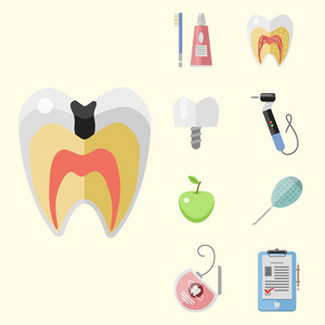 平卫生保健牙医医疗工具医学仪器卫生口腔医学矢量图